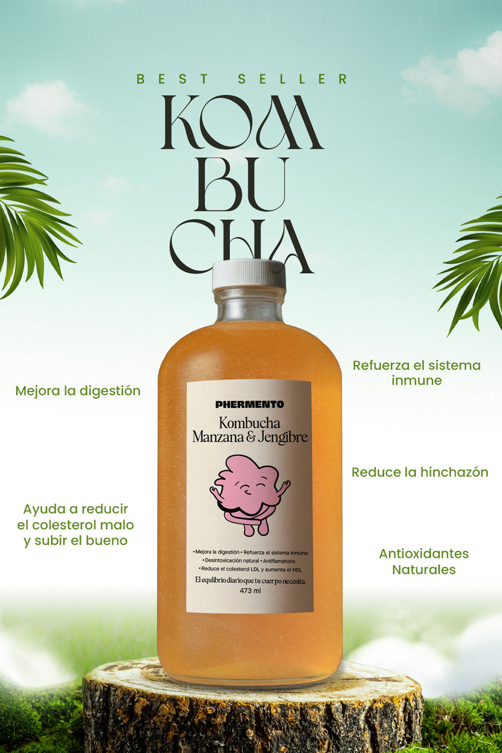 Kombucha Manzana y Jengibre
